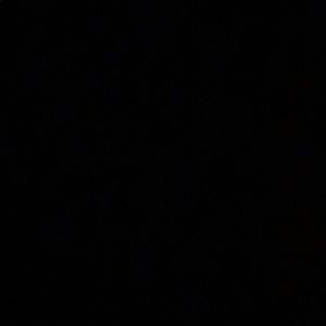 Meet your Posher, Nyvia